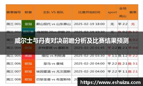 威尔士与丹麦对决前瞻分析及比赛结果预测